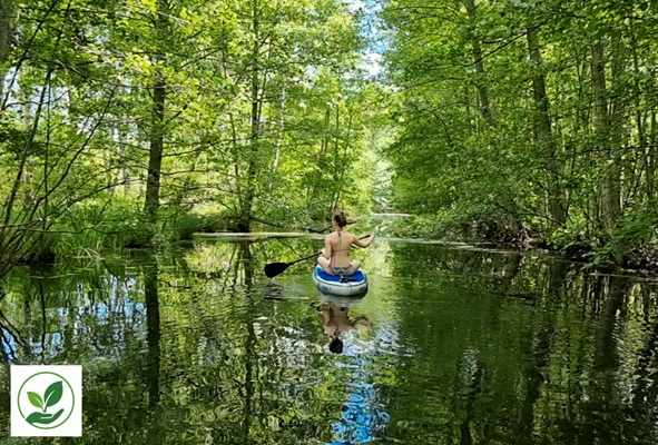 Är din sup skadlig för miljön?